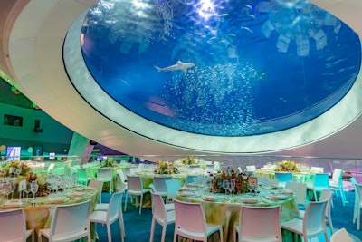 Leaning into a venue's nature-focused amenities counts, right? Last year, Miami's Phillip and Patricia Frost Museum of Science welcomed over 200 cultural philanthropists, city leaders, and science enthusiasts for “An Evening of Discovery: Digging Deep Into Paleontology.” Guests were seated for dinner underneath the Gulf Stream Aquarium exhibit, where they could take in views of sea creatures swimming by. See more: This Catering Team Amped Up an Event Theme with a Clever Menu That Guests Really 'Dug'