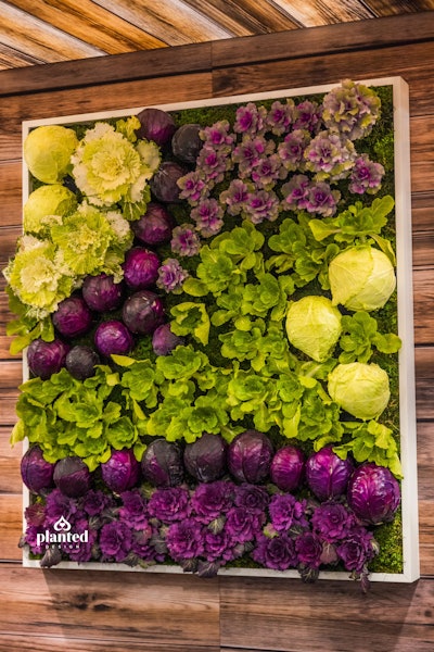 Fermented Food Holdings